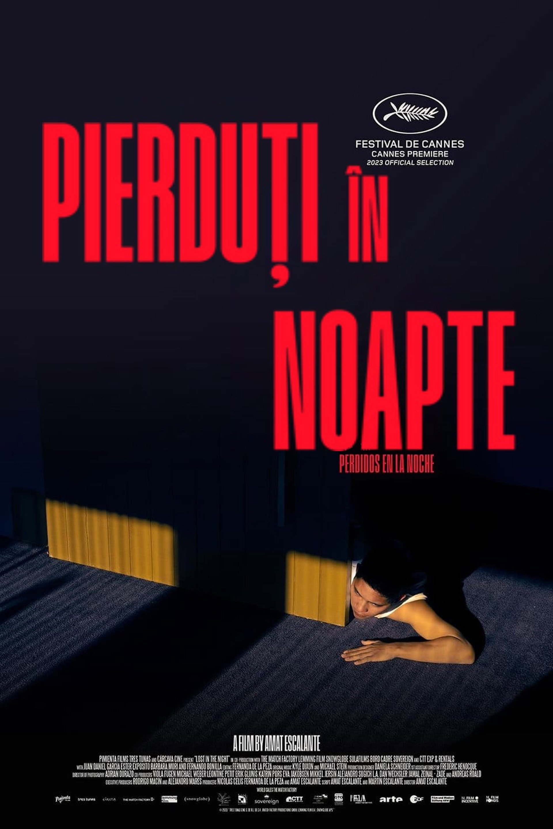 Pierduți în noapte