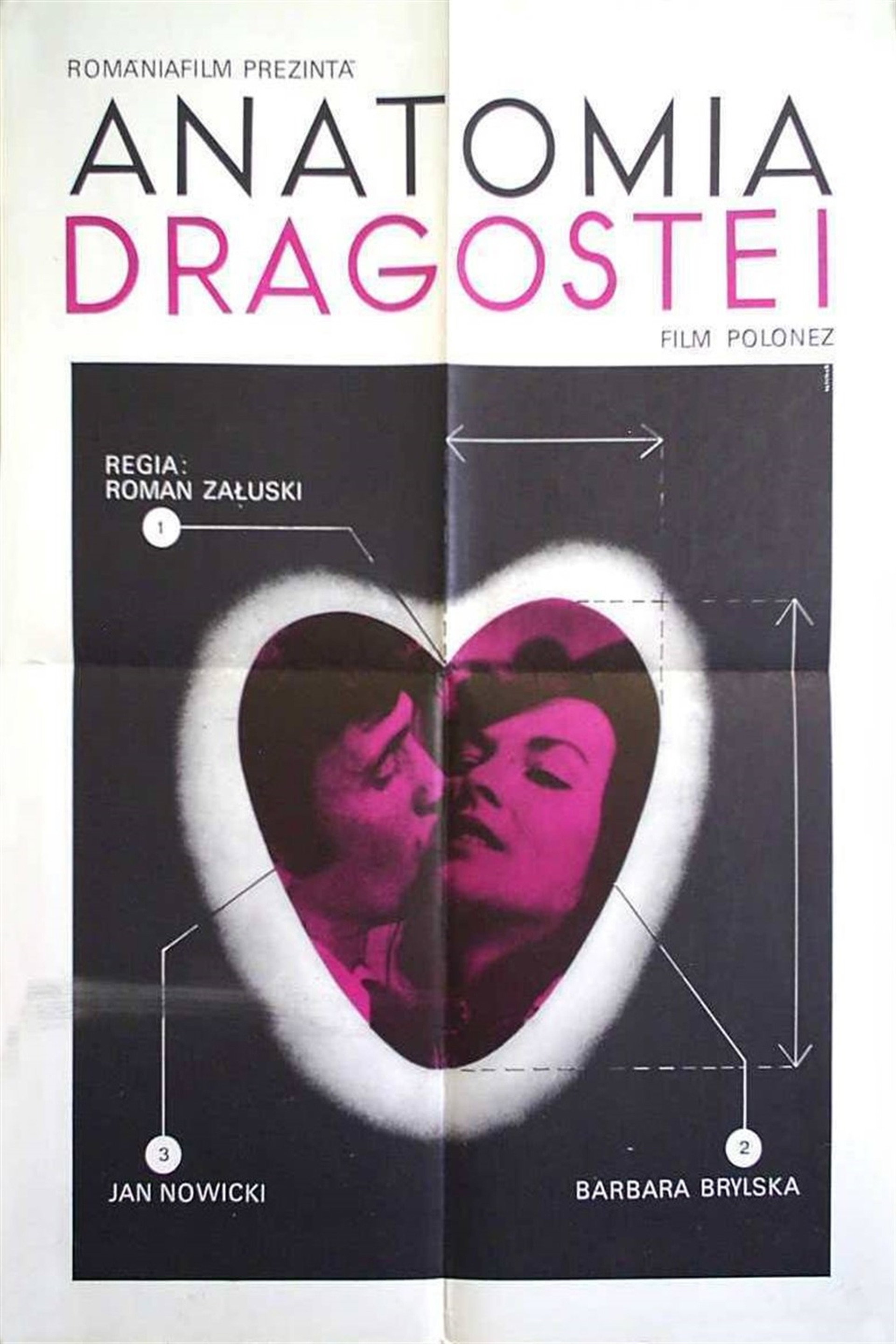 Anatomia dragostei