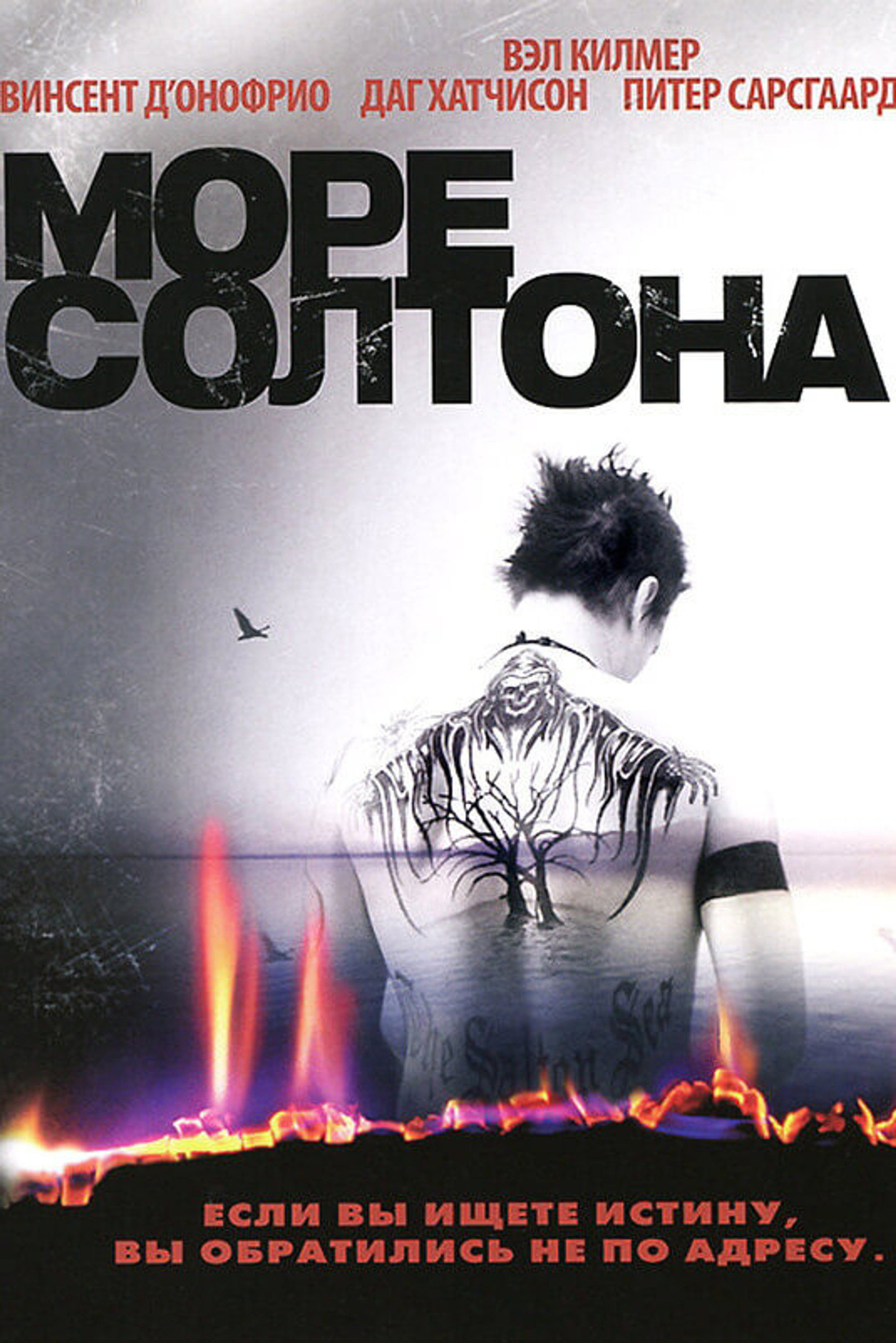 Море Солтона