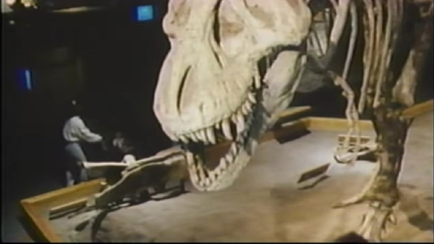 The Real Jurassic Park