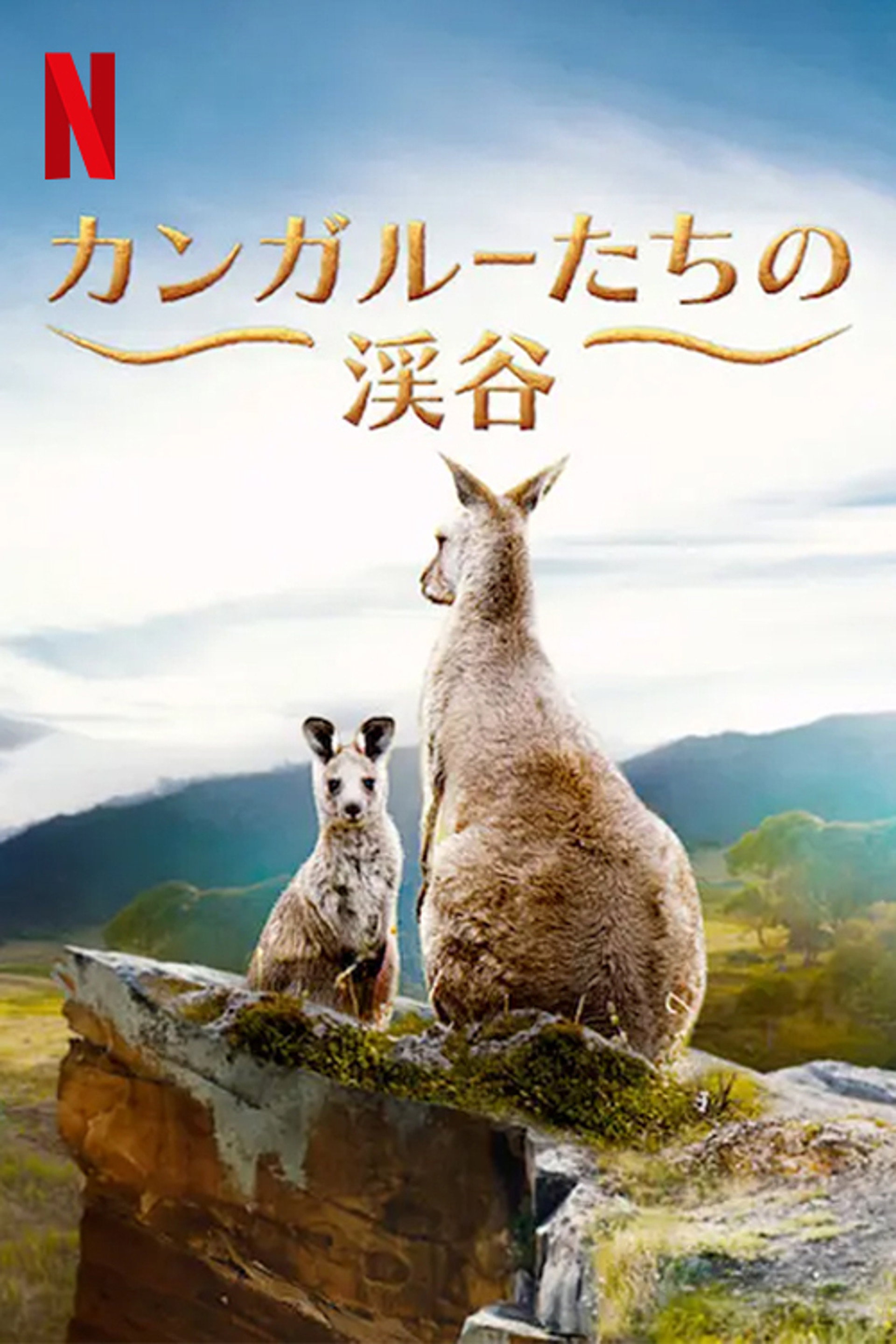 カンガルーたちの渓谷