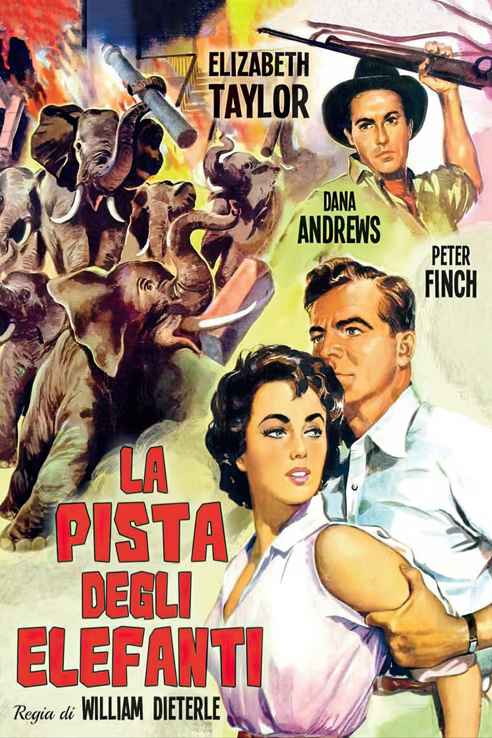 La pista degli elefanti