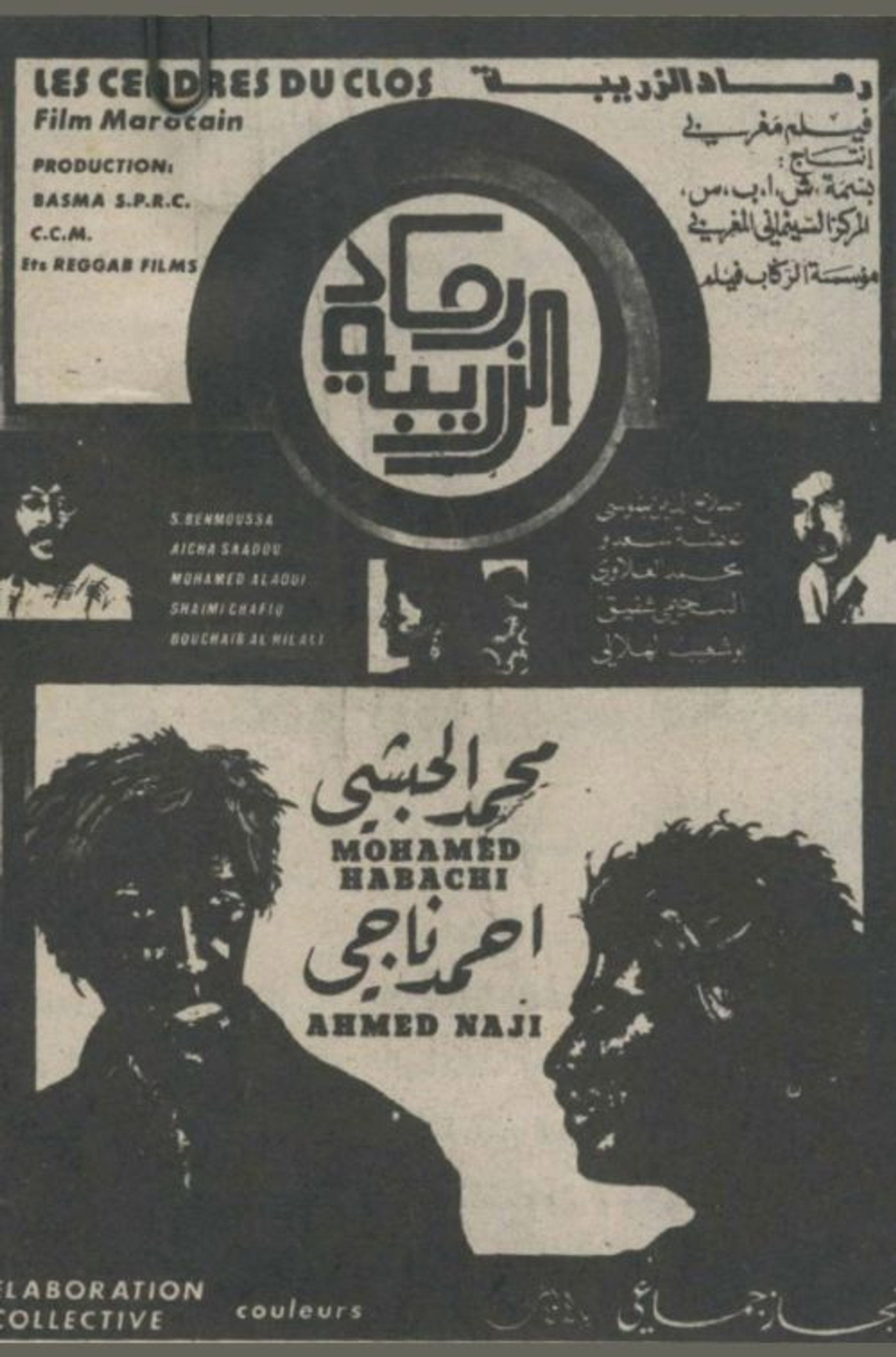Ramâd al-zariba