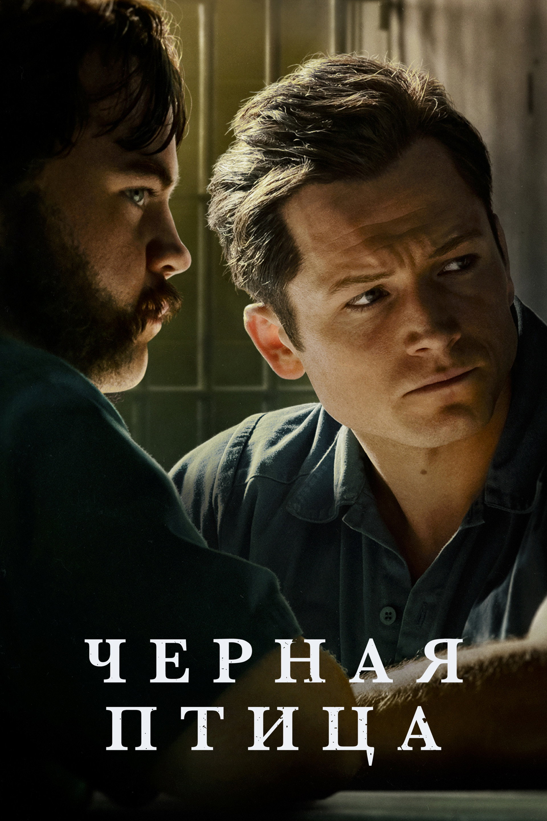 Черная птица