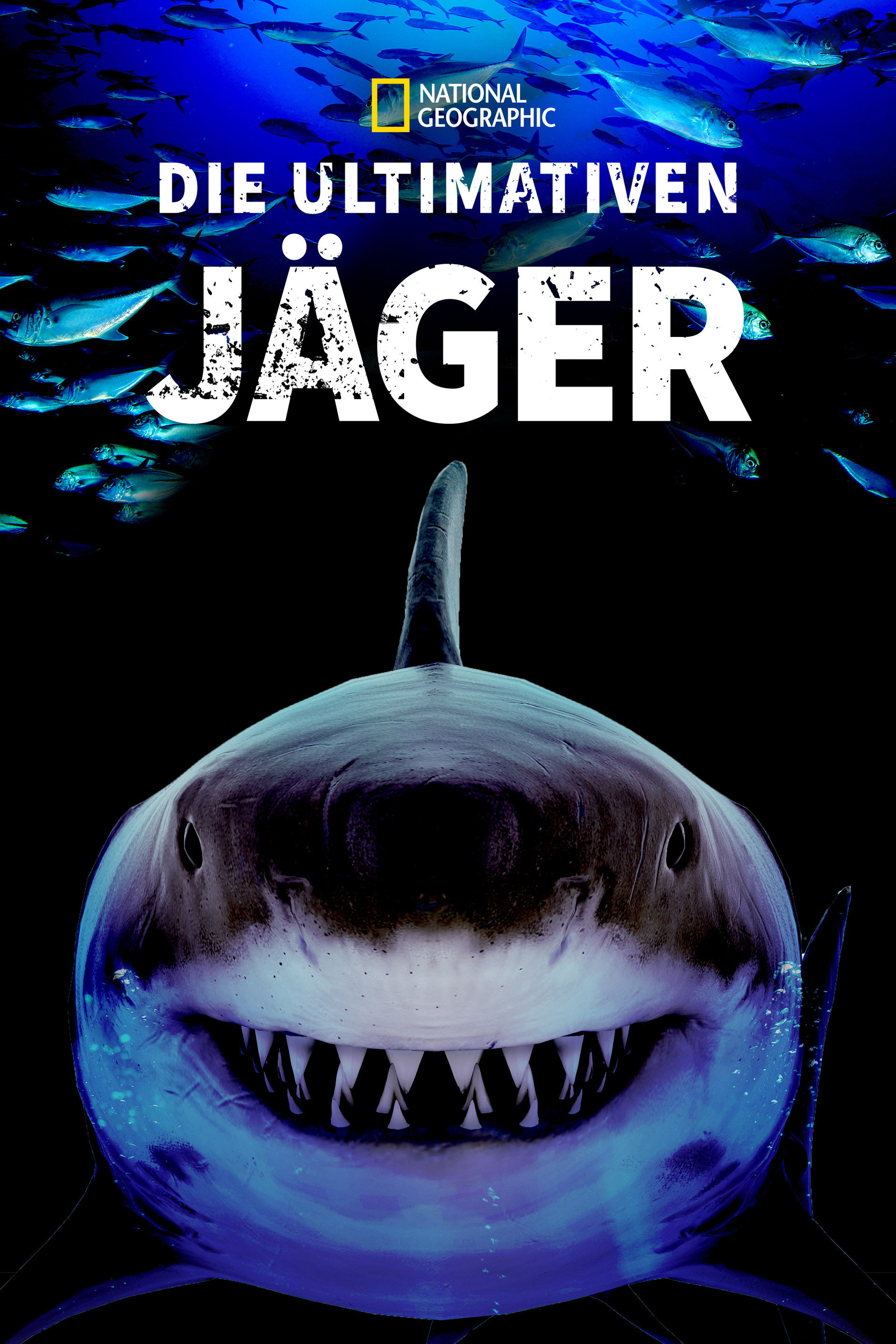 Haie - Die ultimativen Jäger