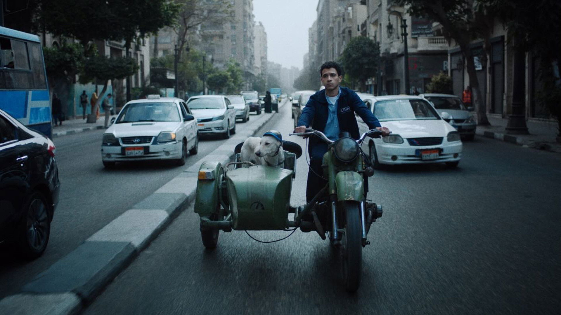 Seeking Haven for Mr. Rambo