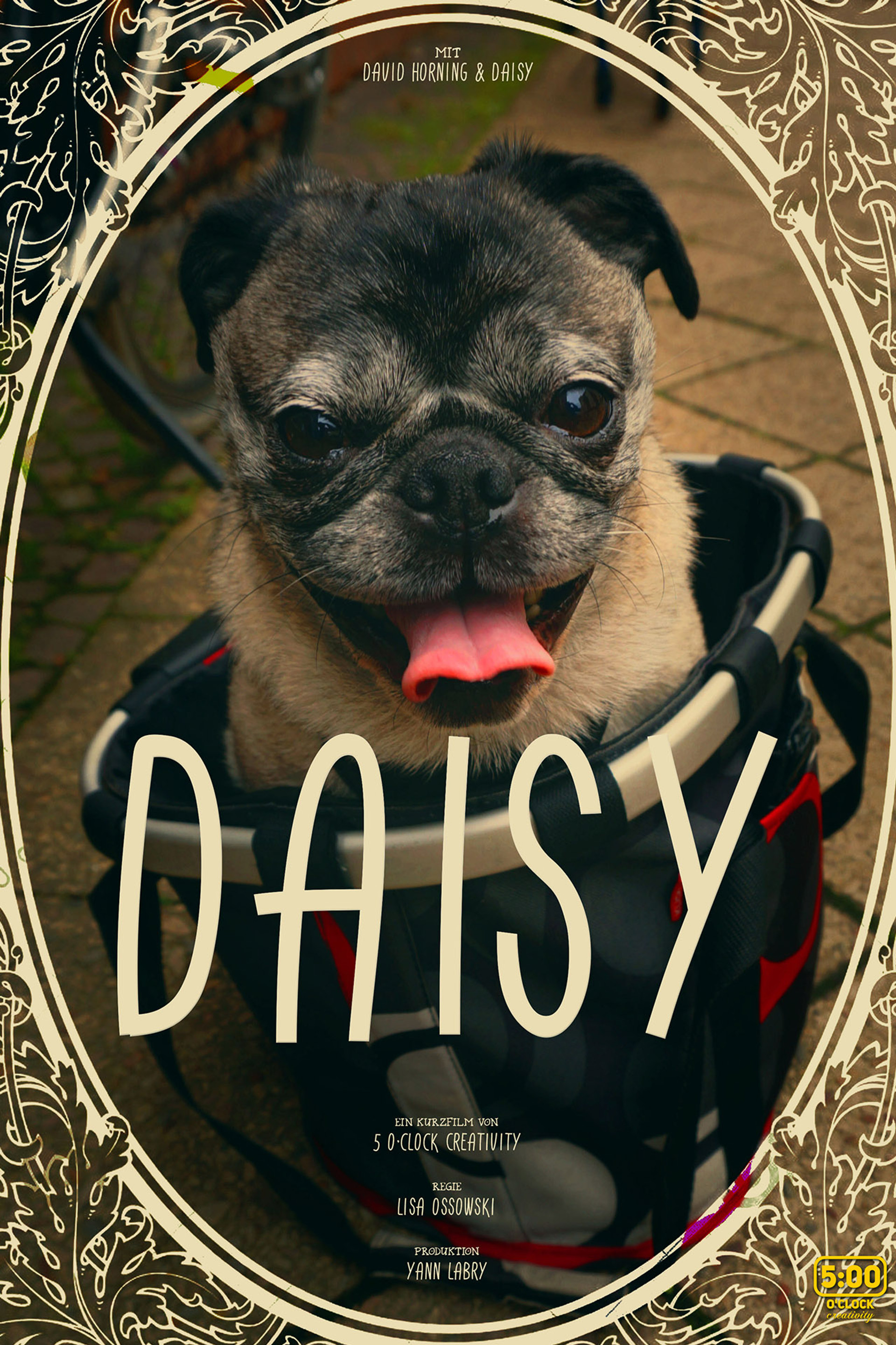 Daisy