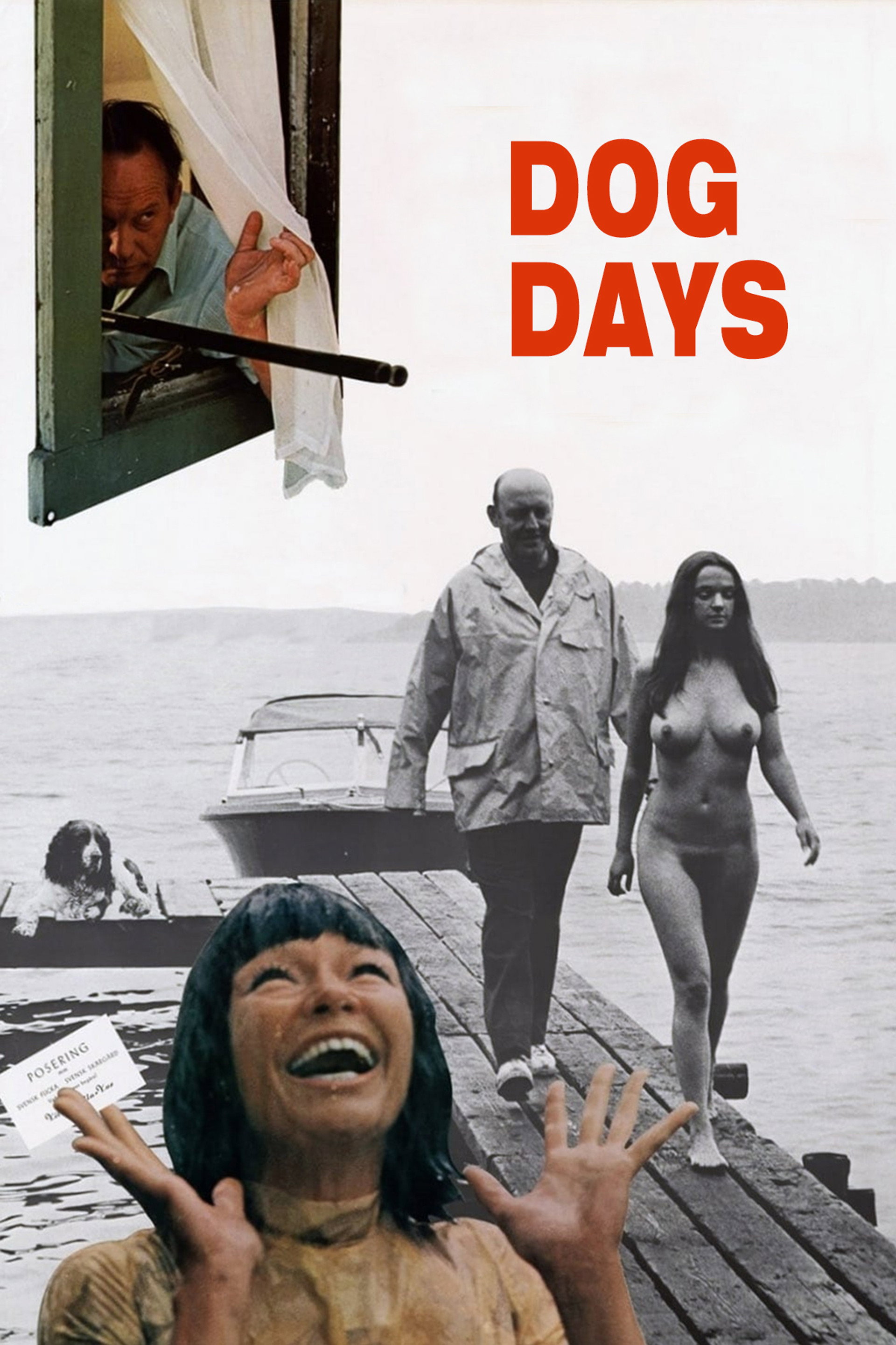 Dog Days