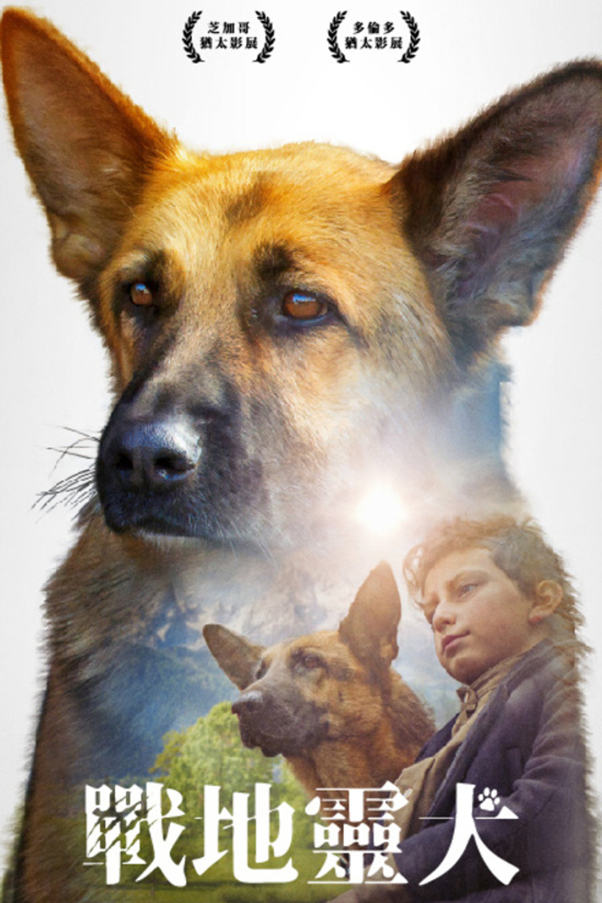 战地灵犬