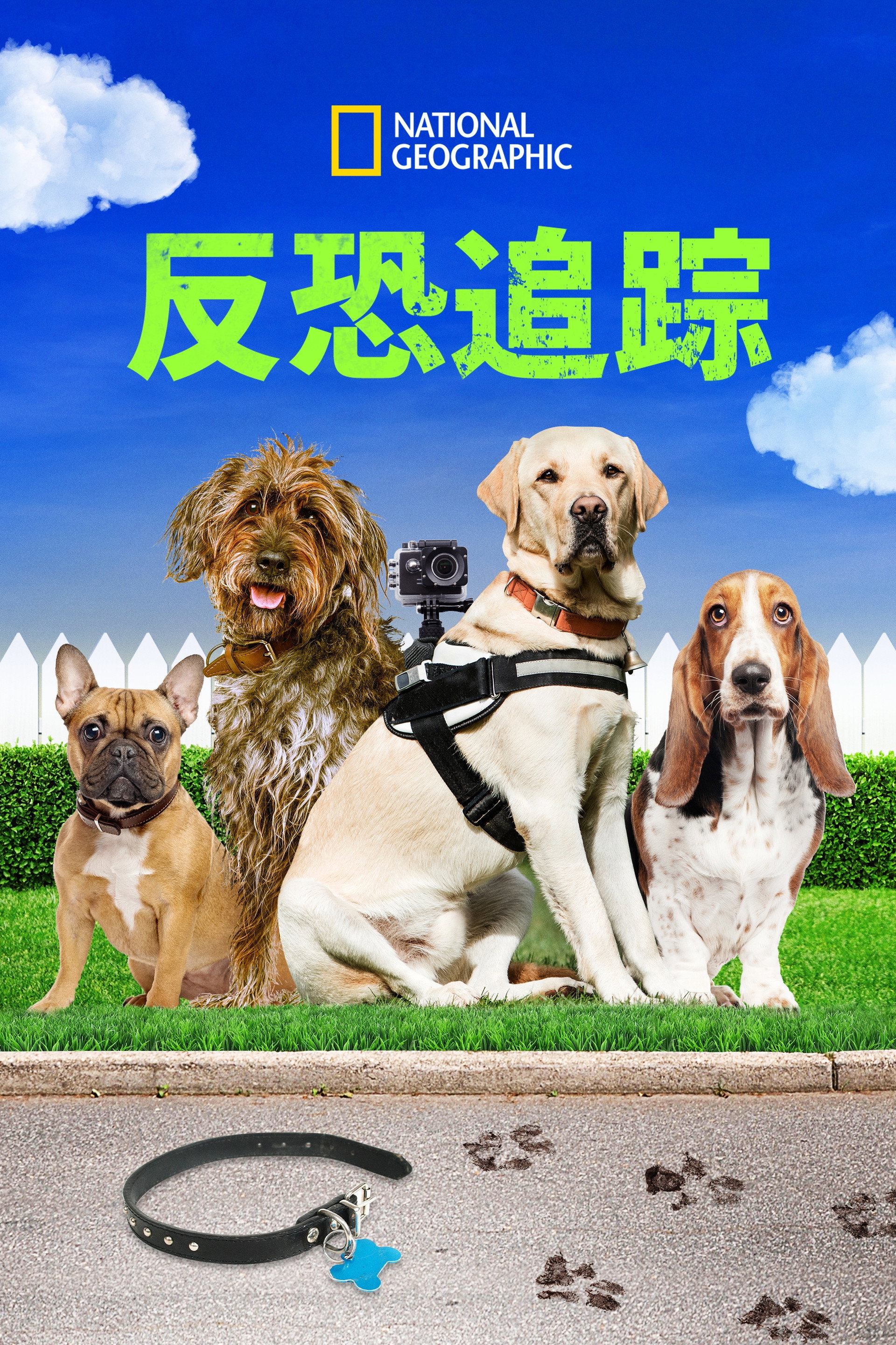 Trackers