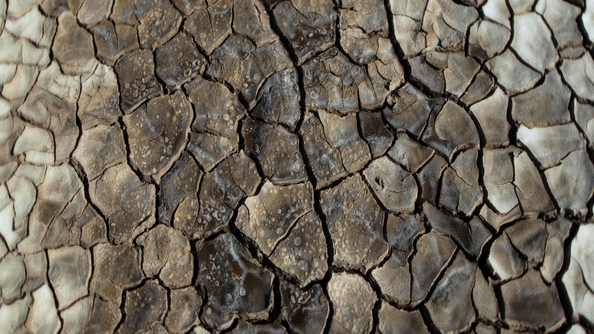 What Does the Mud Whisper?