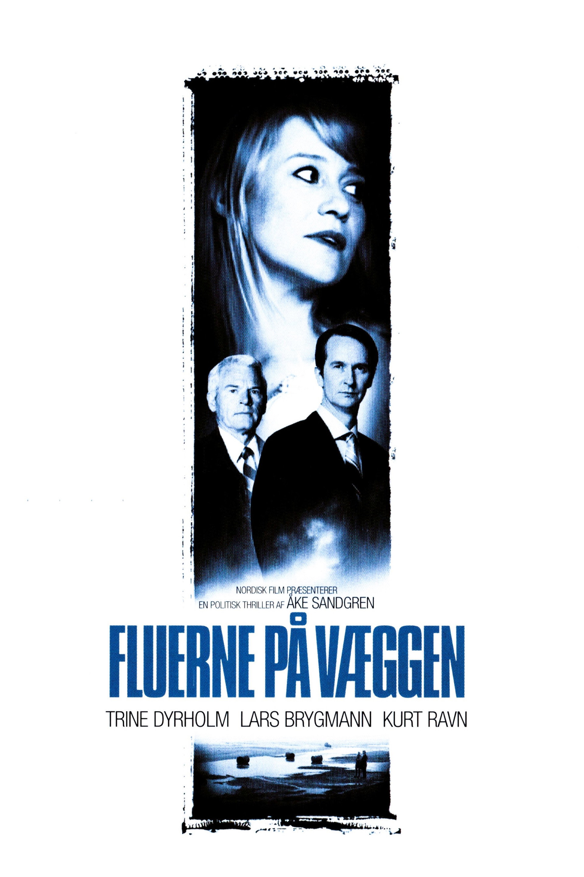 Fluerne på væggen