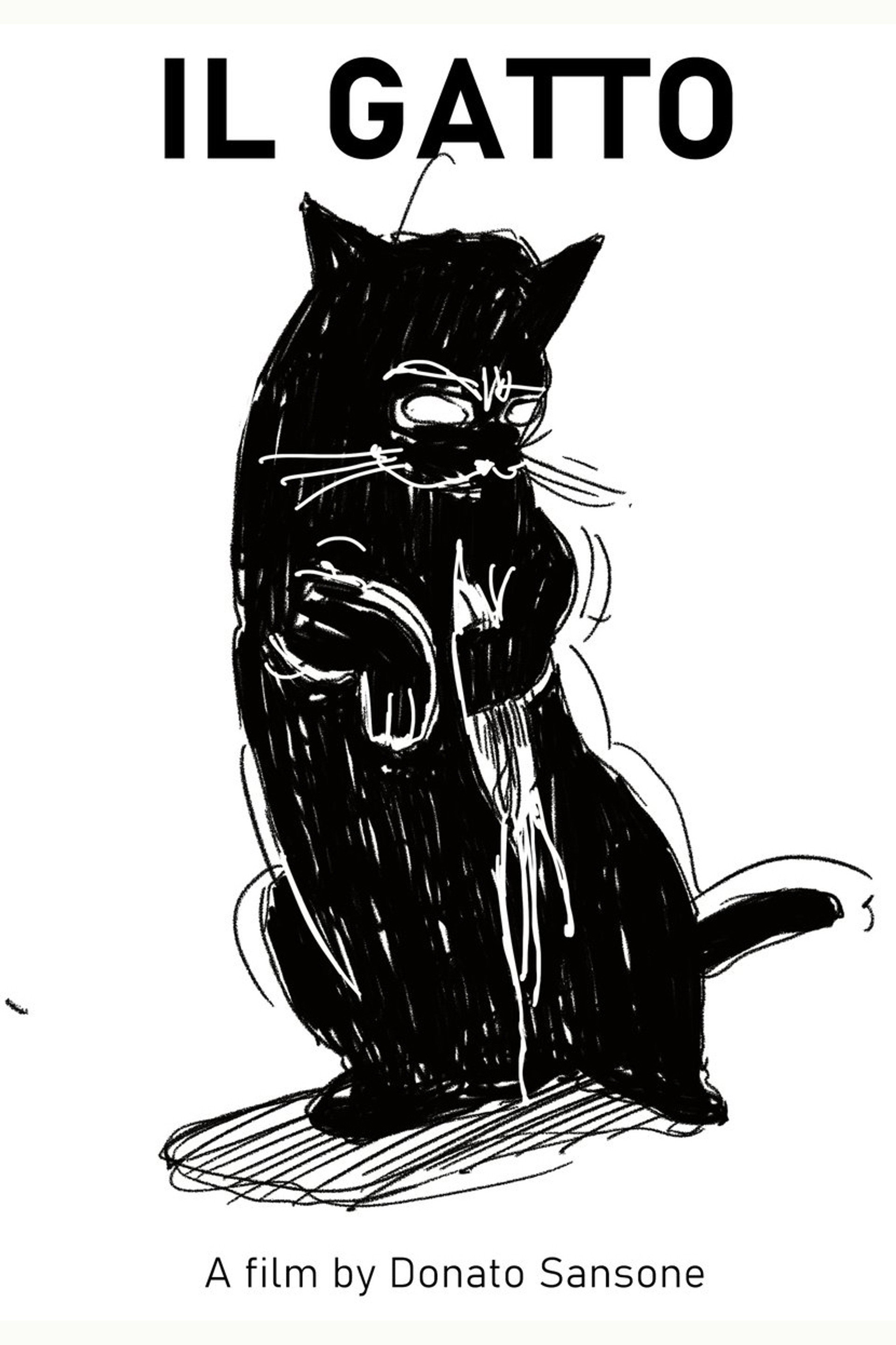 The Cat