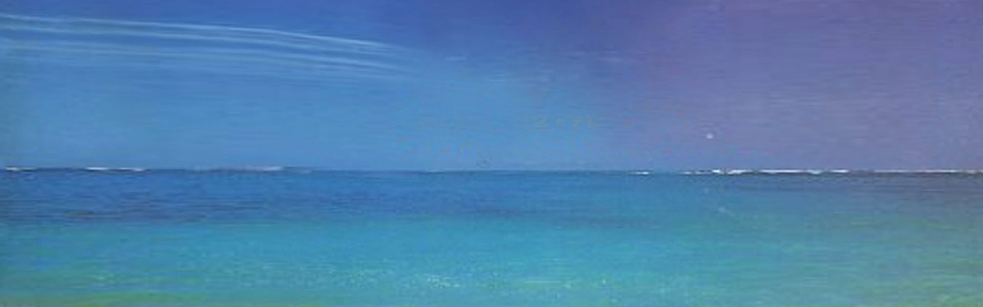 WWE Royal Rumble 1995