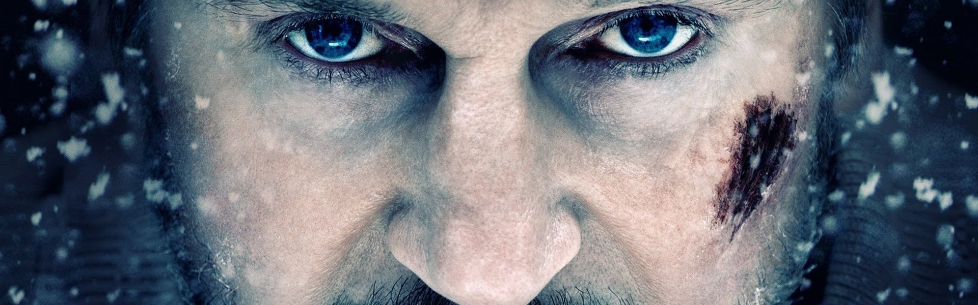 The Grey