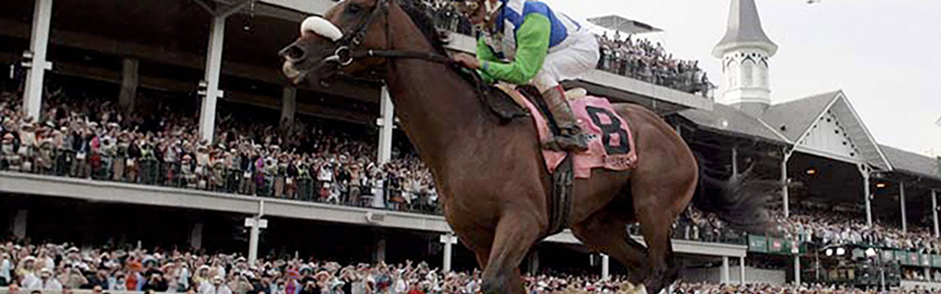 Barbaro