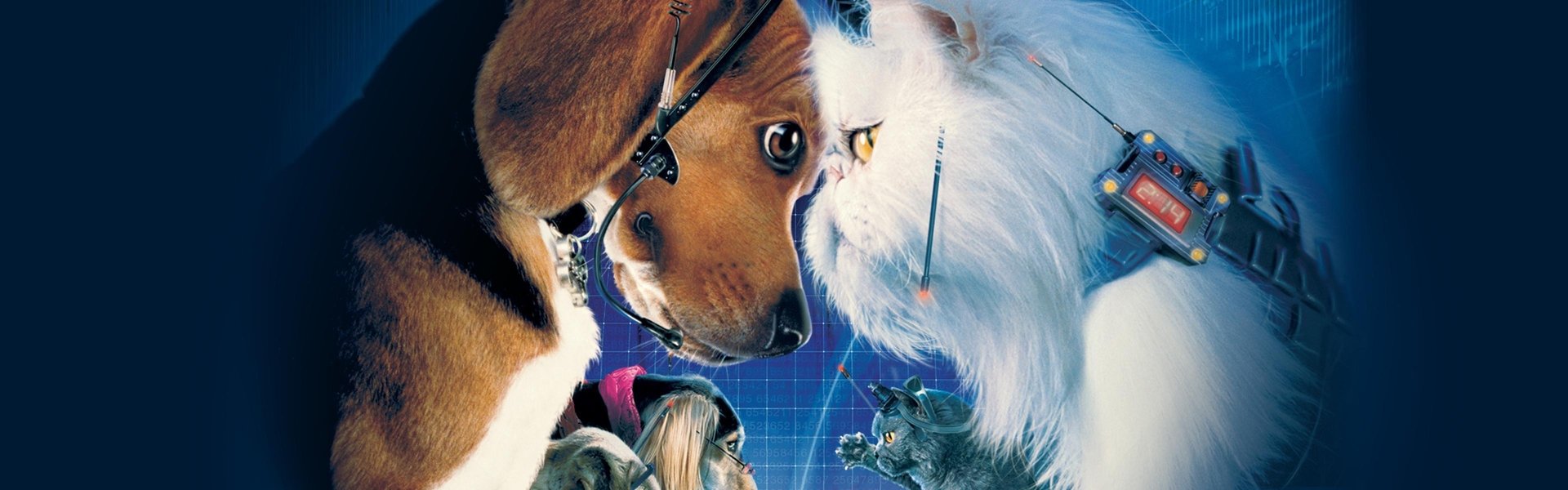 Cats & Dogs