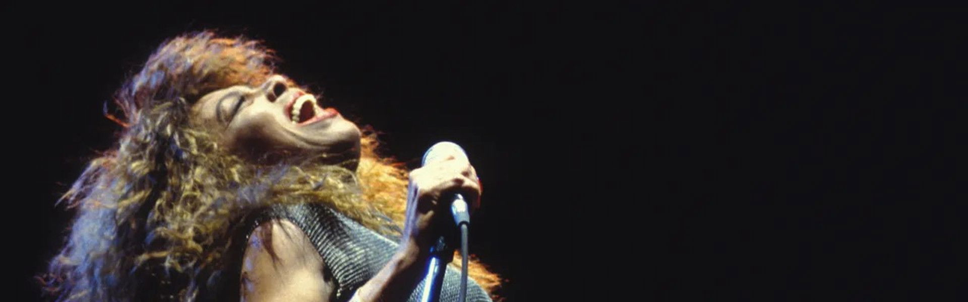 Tina Turner : Celebrate!