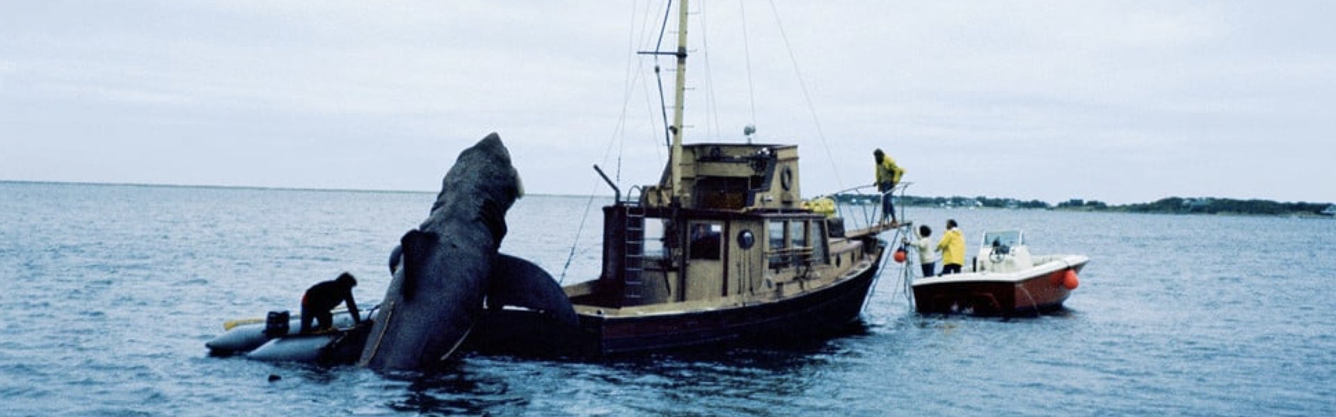 In the Teeth of Jaws