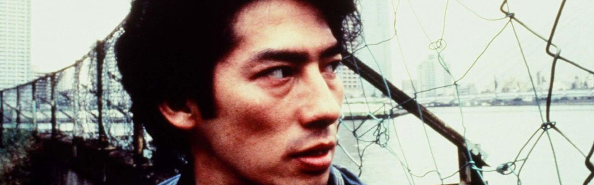 The City That Never Sleeps: Shinjuku Shark