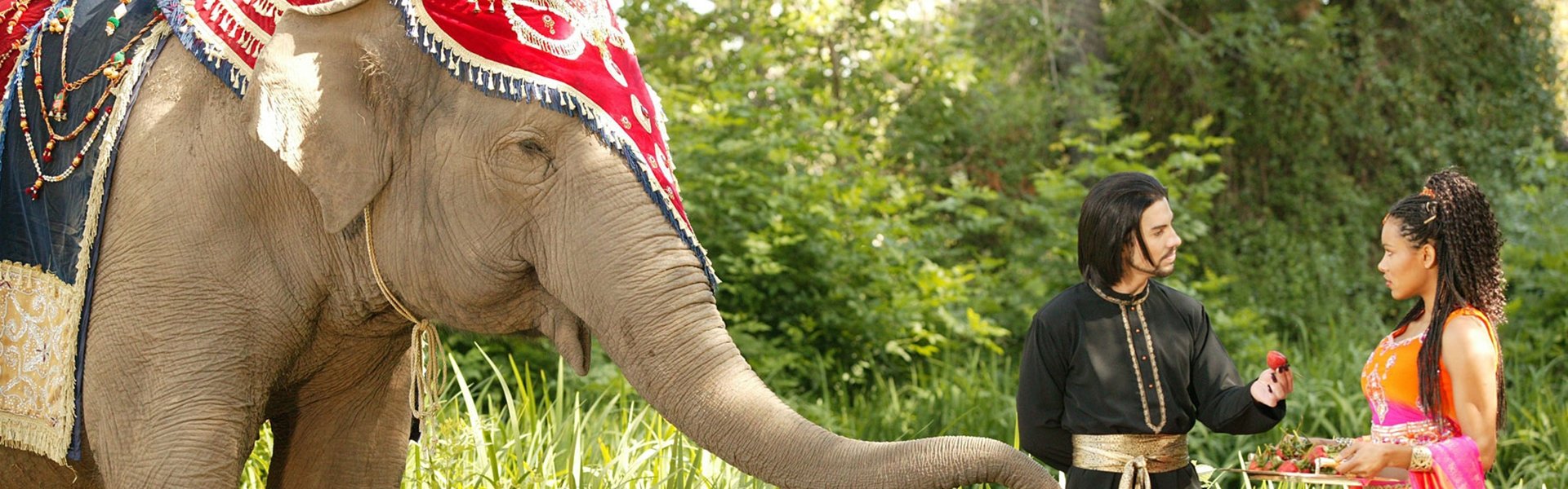 The Elephant Princess