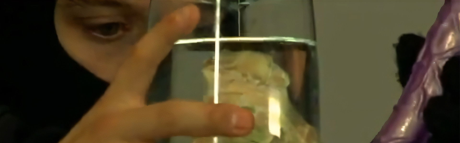 Ellos robaron la picha de Hitler