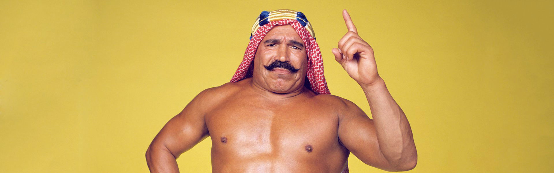 The Sheik