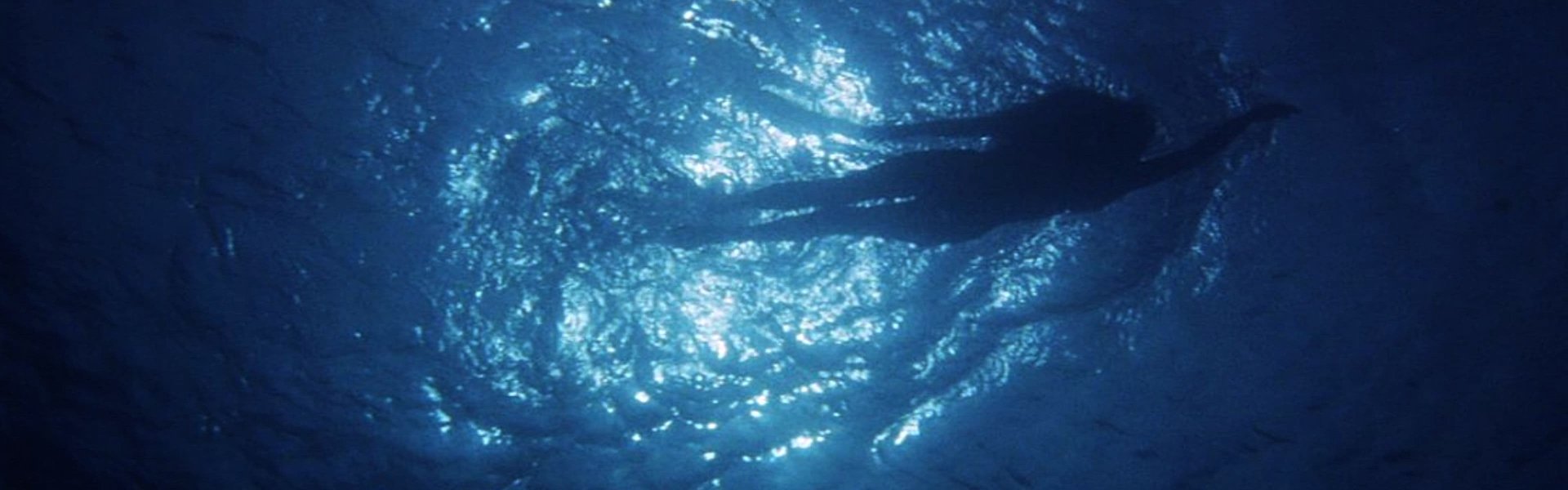 Les dents de la mer: Un succès monstre