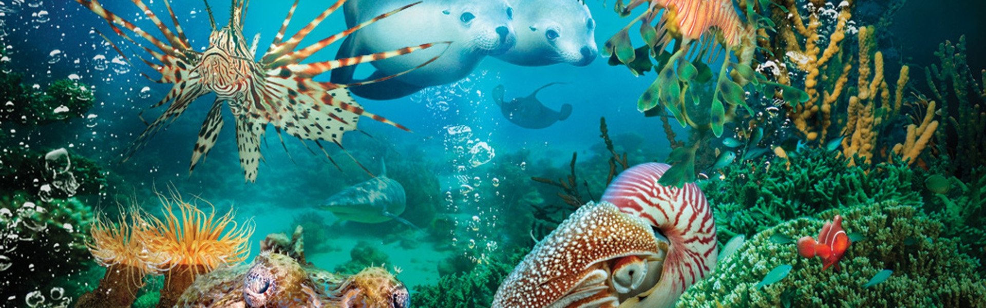 Under the Sea 3D