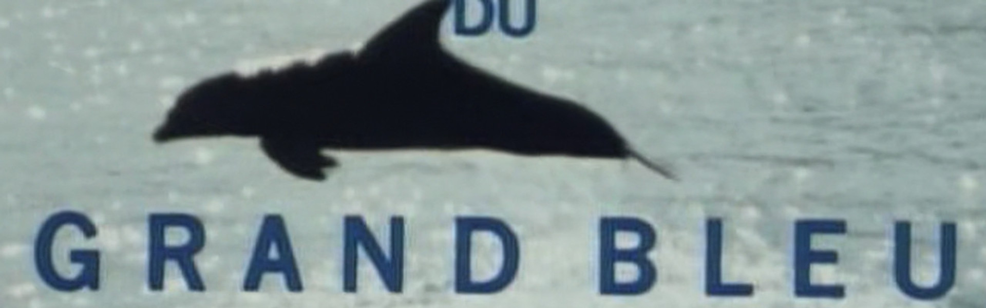 The Big Blue Adventure