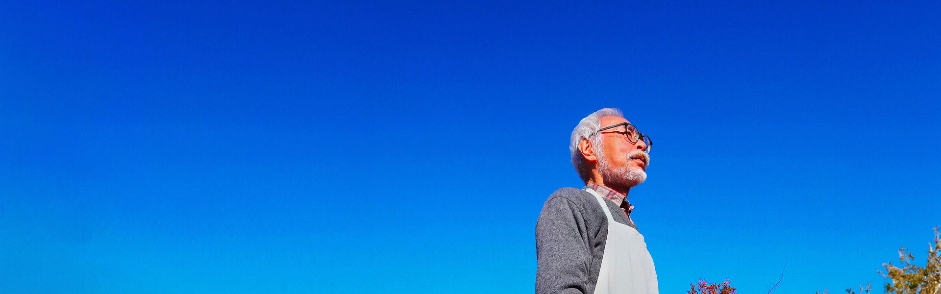 Hayao Miyazaki and the Heron