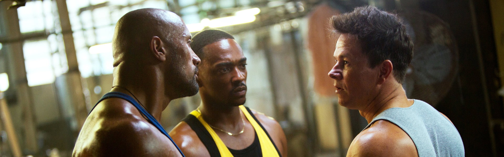 Pain & Gain