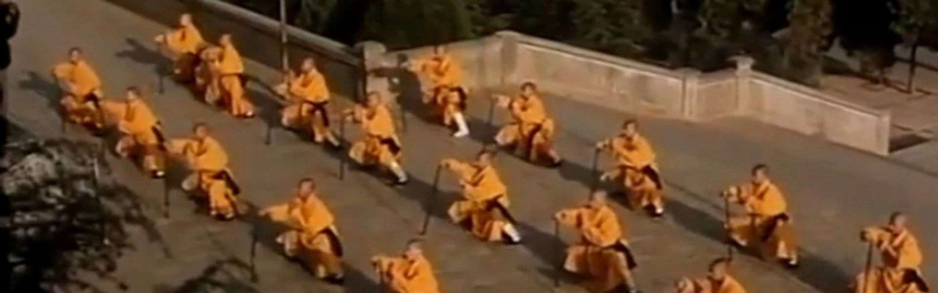 Shaolin Kung Fu