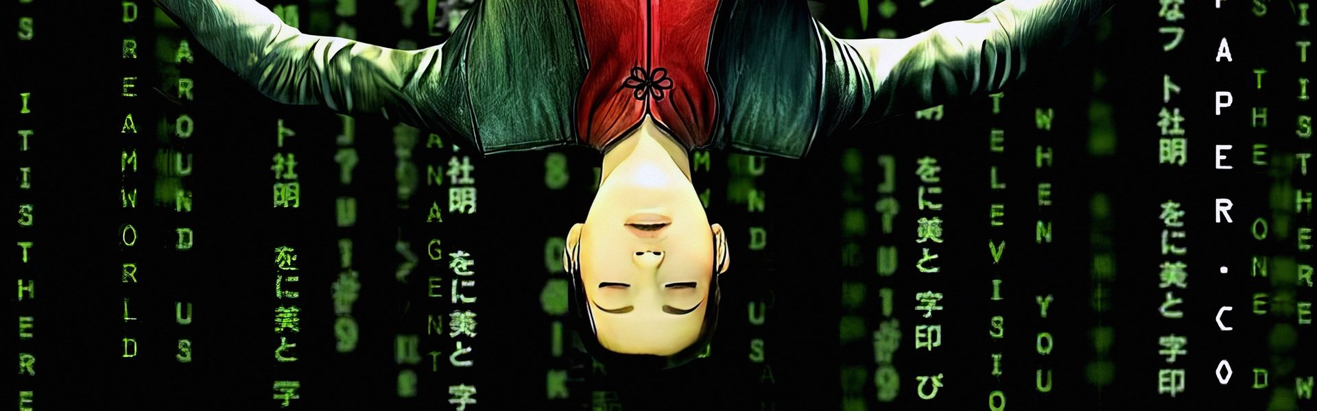 The Animatrix