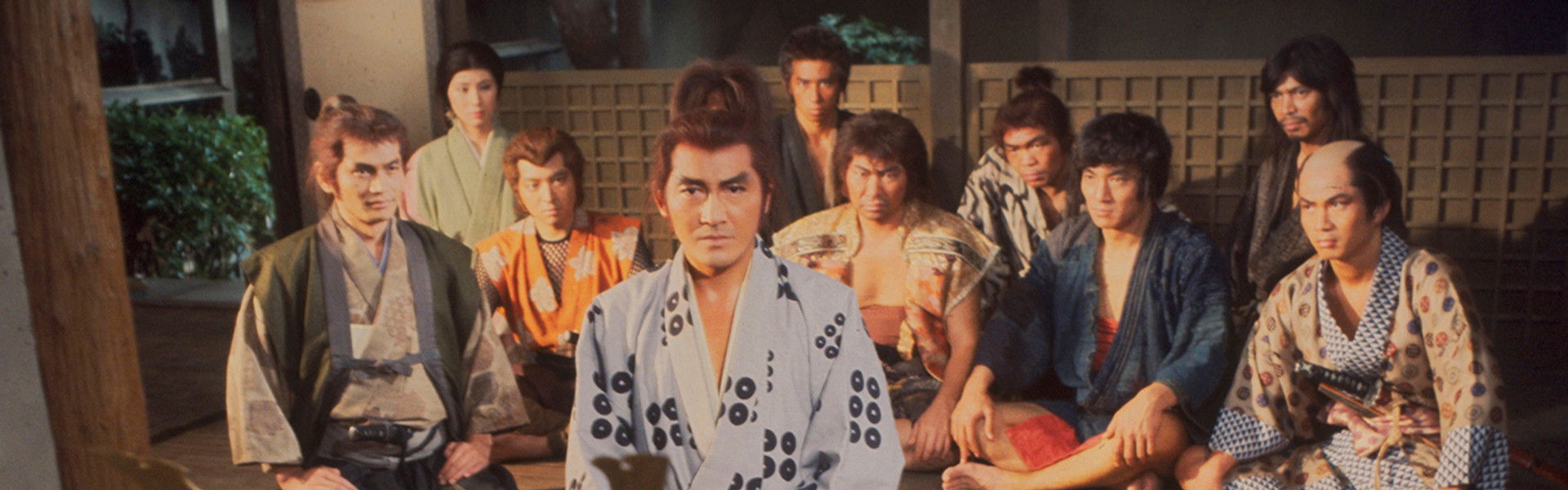 The Shogun Assassins