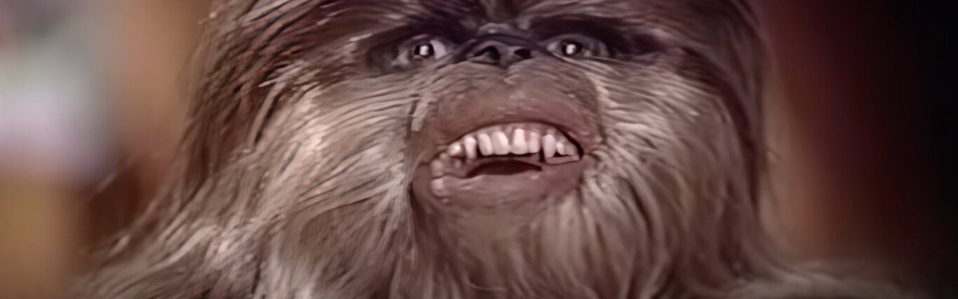 The Star Wars Holiday Special