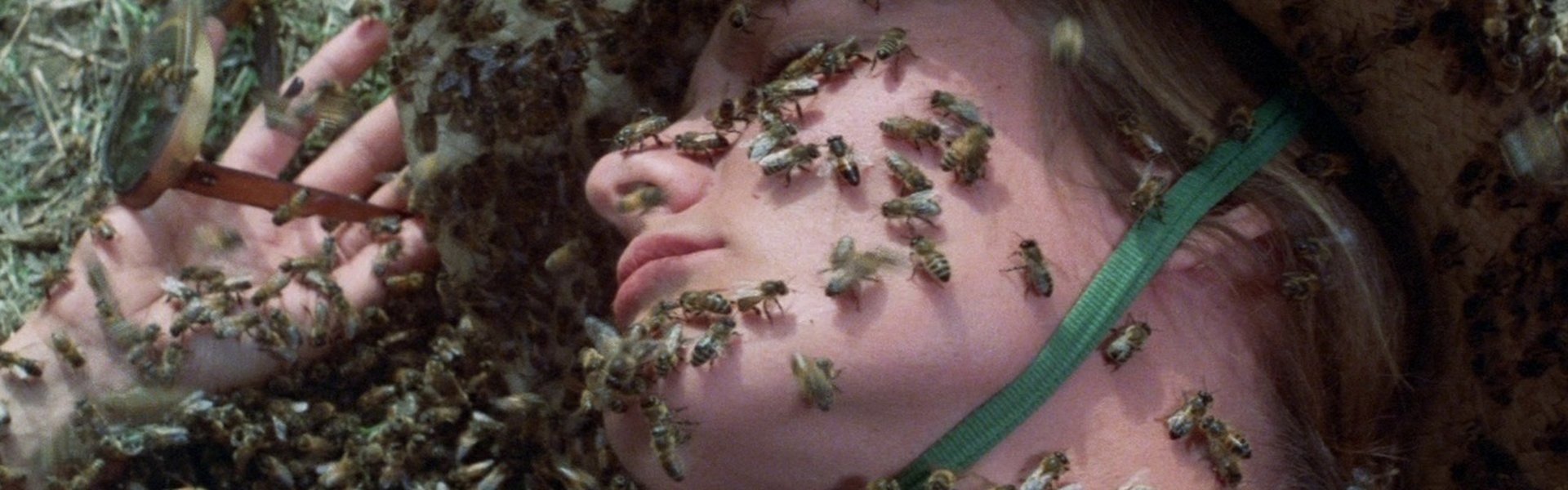 The Swarm