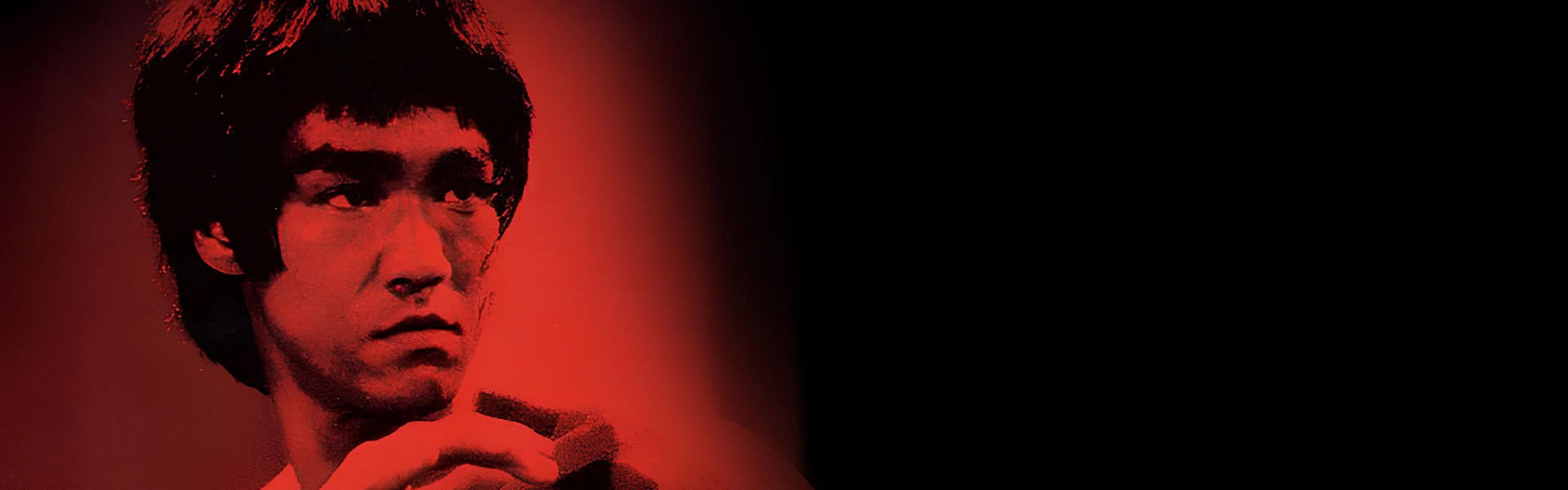 Bruce Lee: The Legend