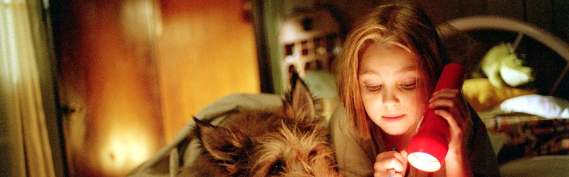 Because of Winn-Dixie