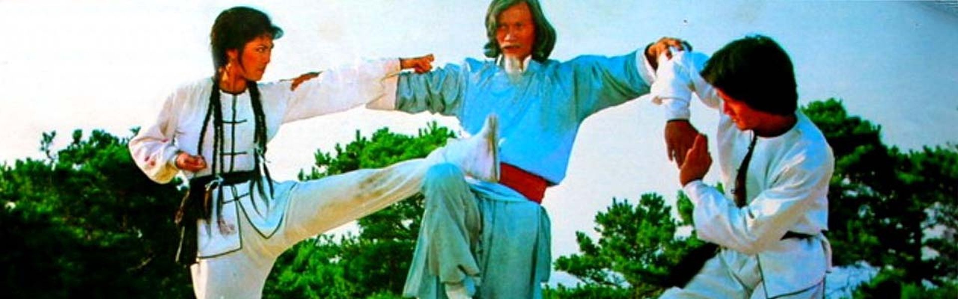 Twins of Kung Fu