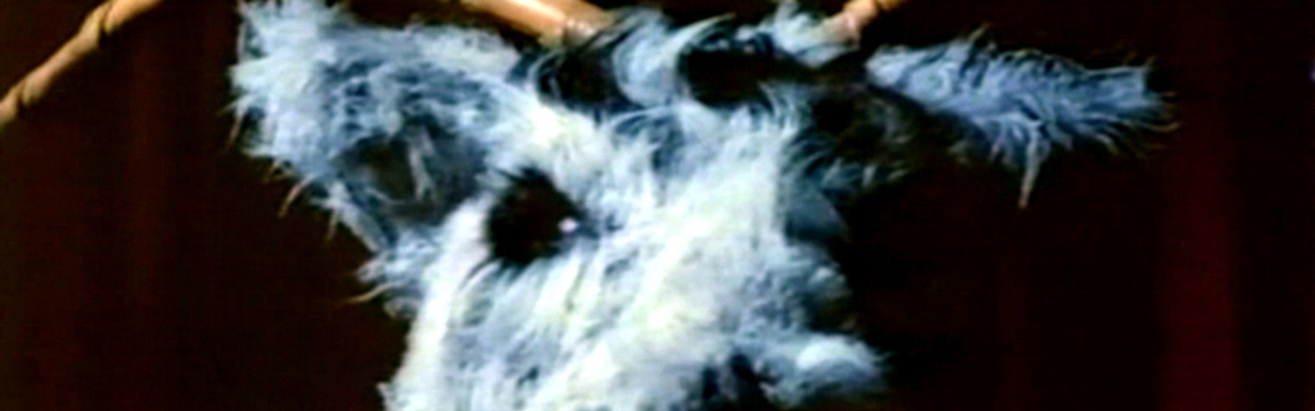 The Witching