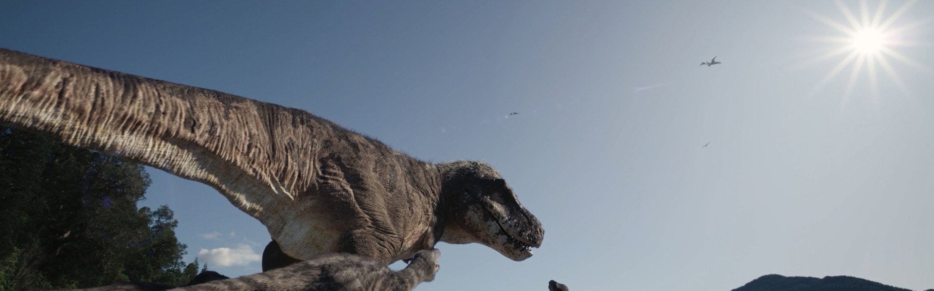 T. REX
