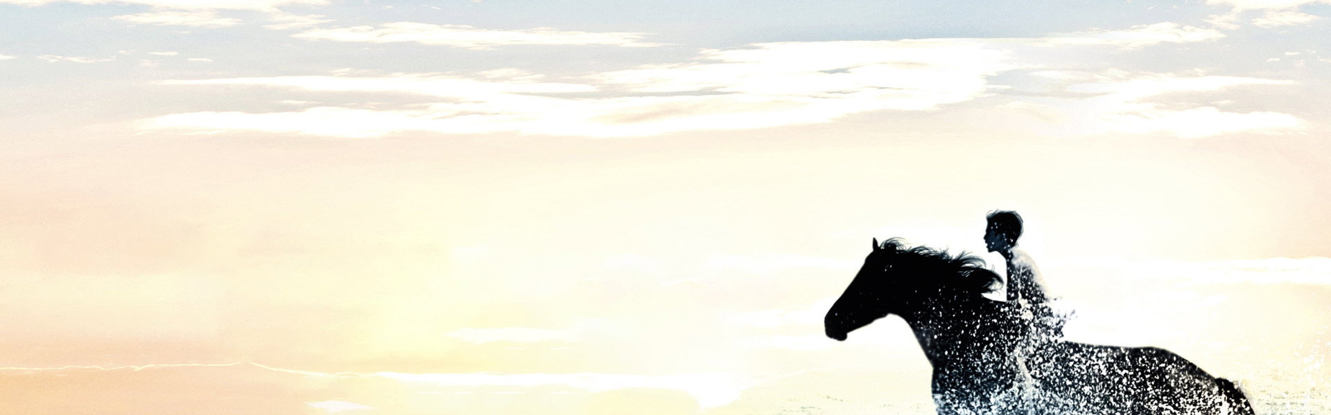 The Black Stallion