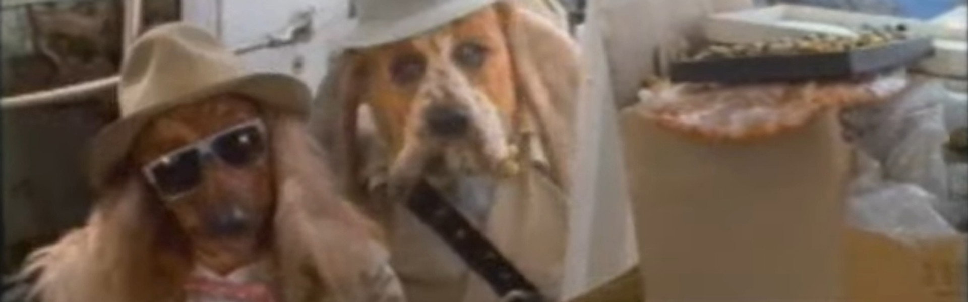The Dog Police