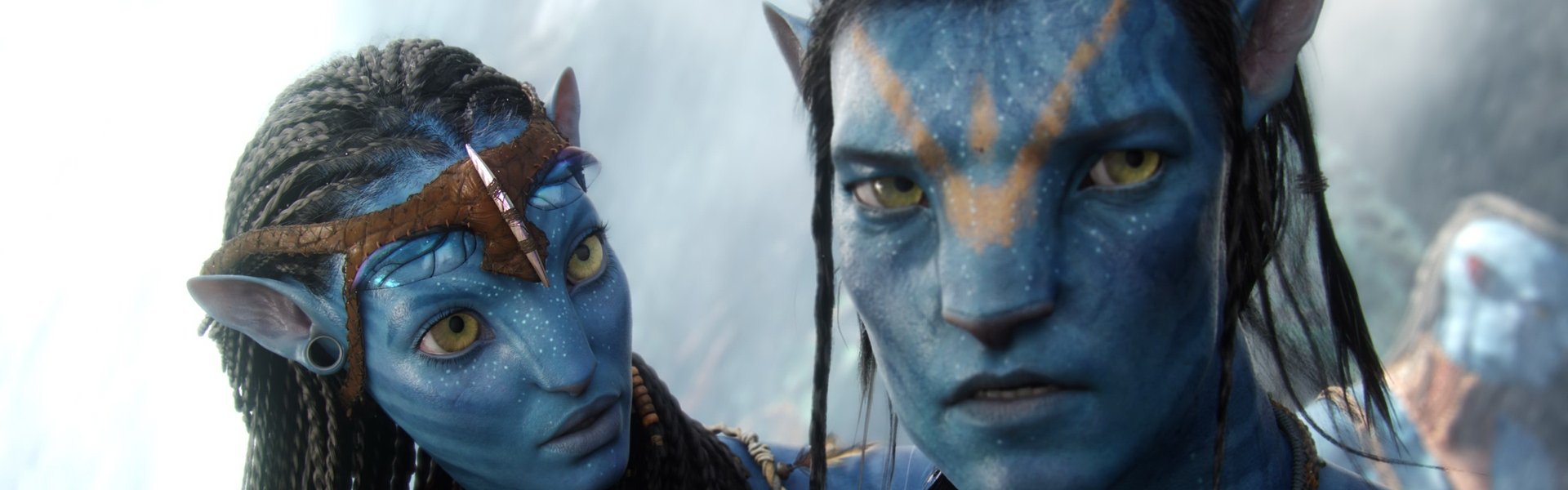 Capturing Avatar