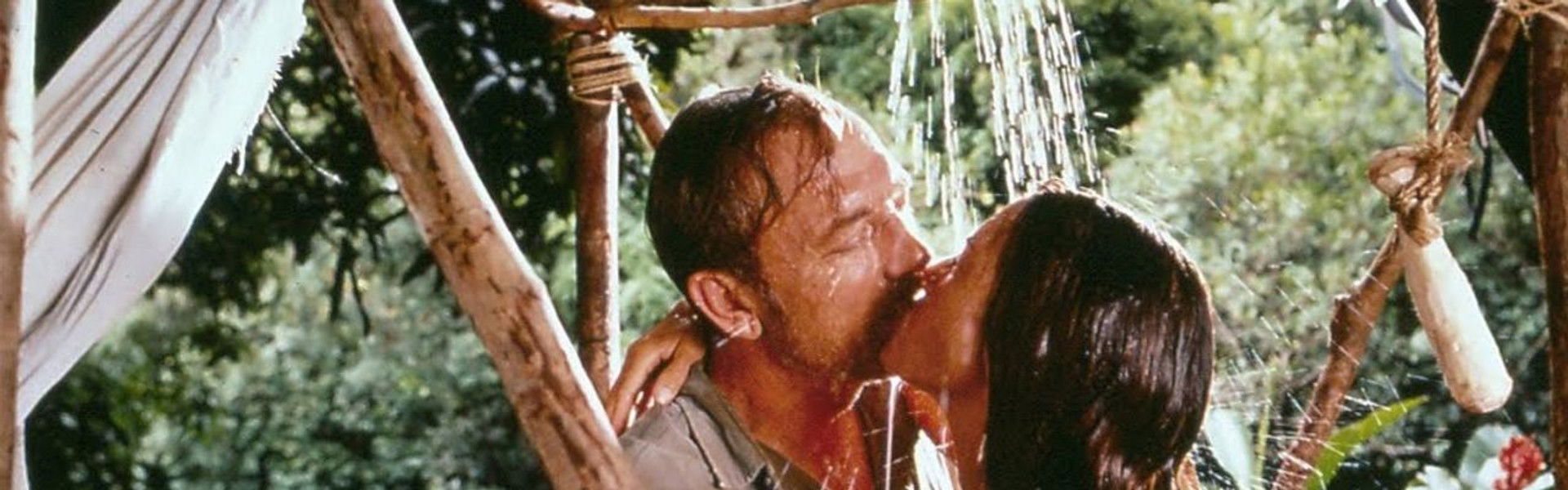 The New Swiss Family Robinson