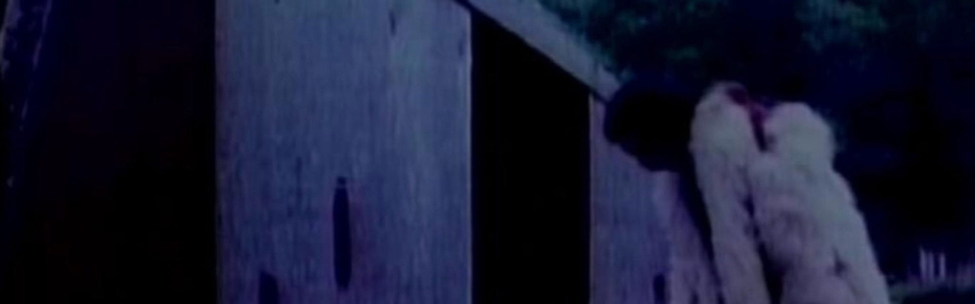 Tales That'll Tear Your Heart Out