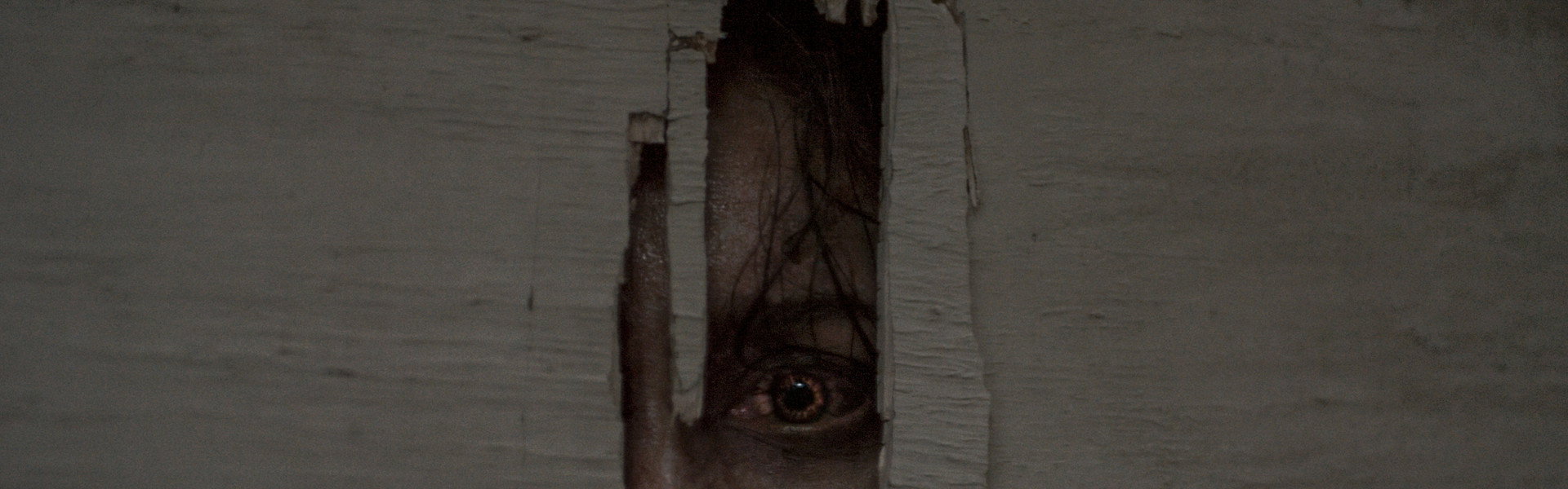 Evil Dead Burn