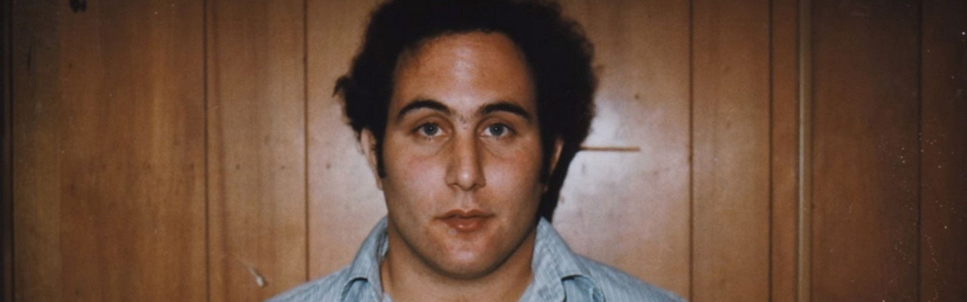 The Sons of Sam: A Descent into Darkness