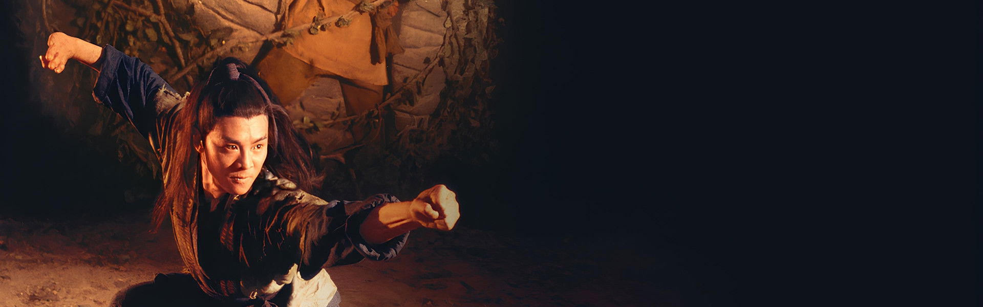 The Kung Fu Cult Master